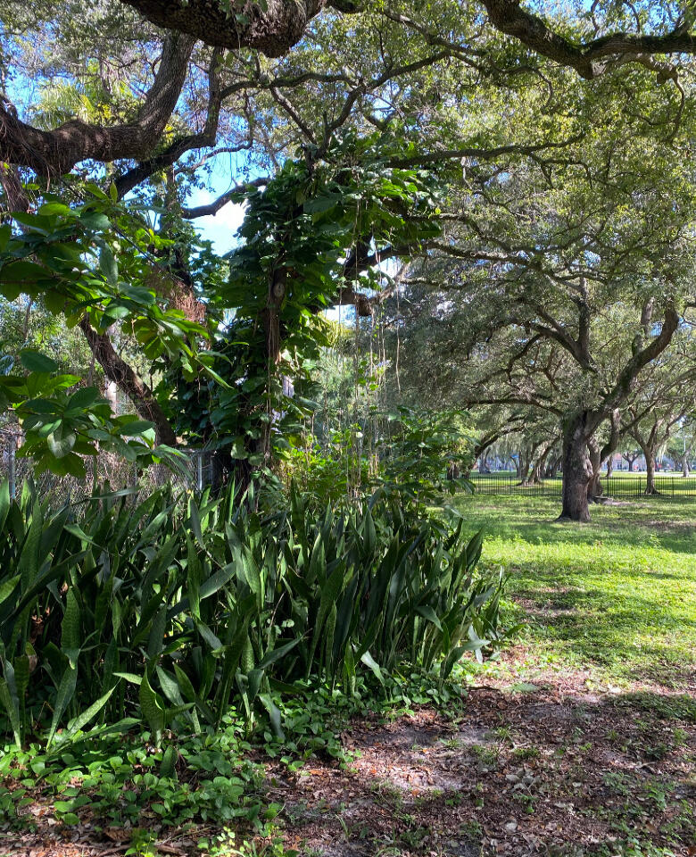 Park Life